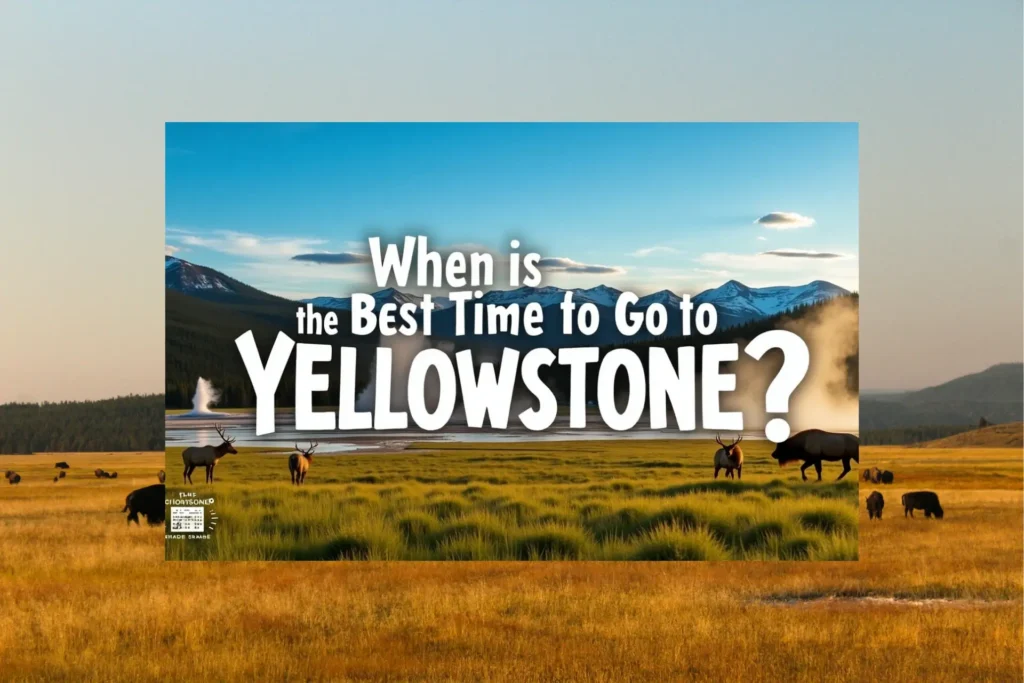 When Is the Best Time to Go to Yellowstone?